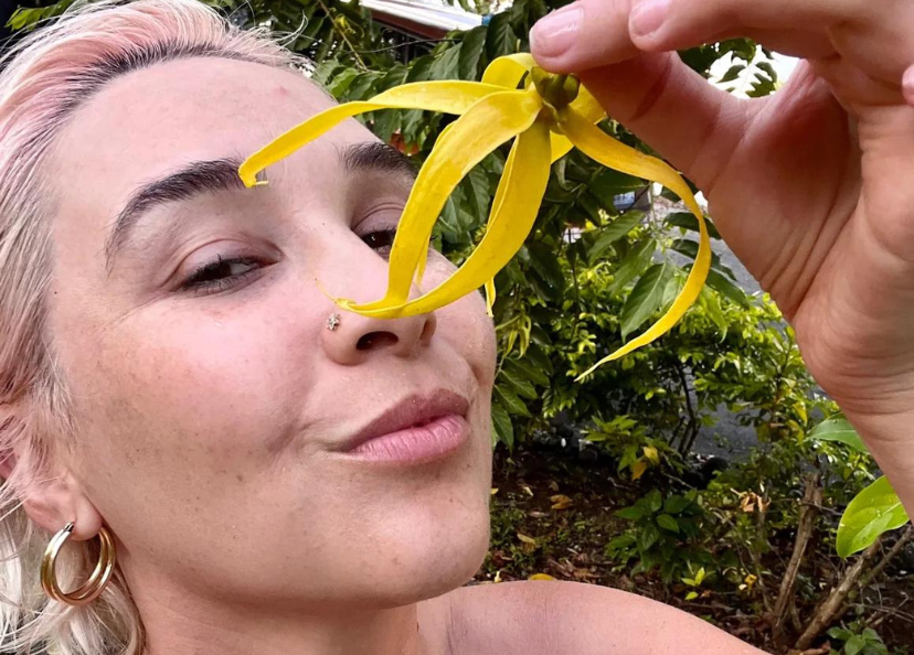 Ylang-Ylang Plant Magic