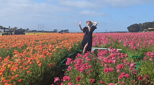 Flower field