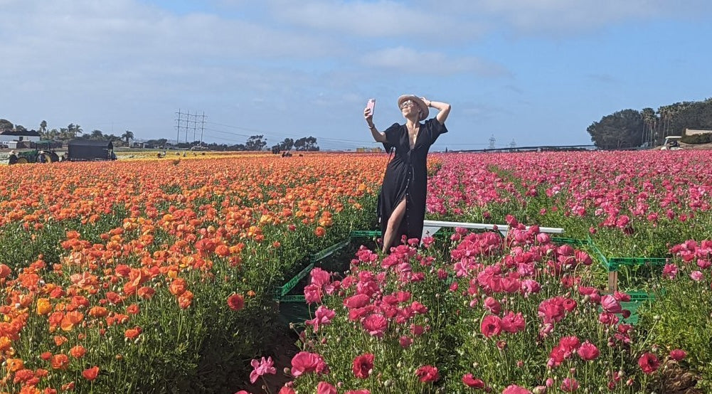 Flower field