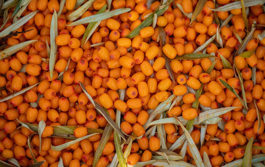 Sea Buckthorn Berries