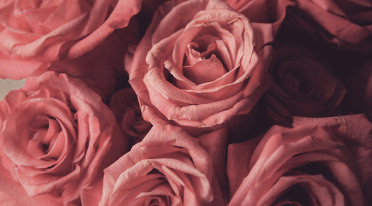 roses