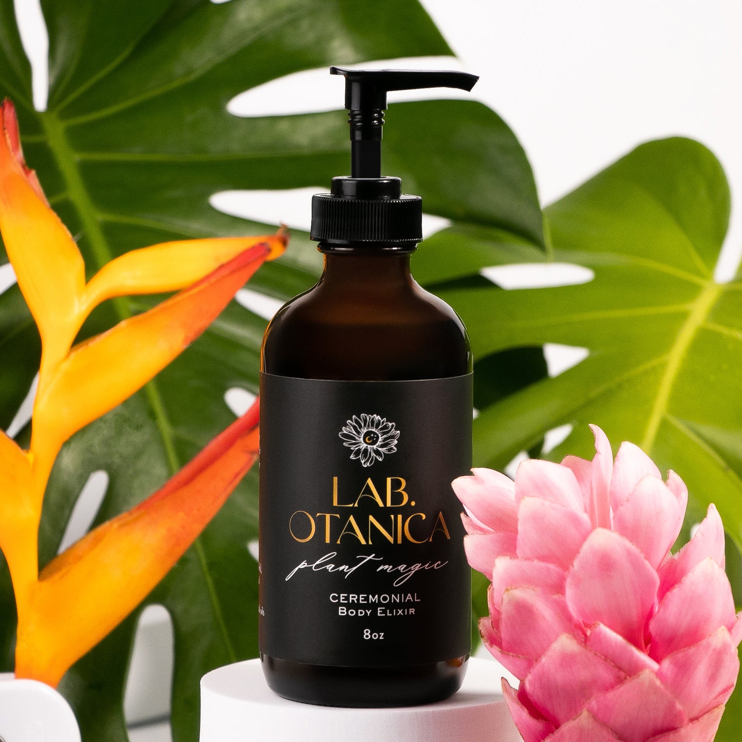 BODY Essentials